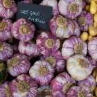 London, England, Great Britain. Borough Hall Market, fresh food, vendors and produce market. Art Print